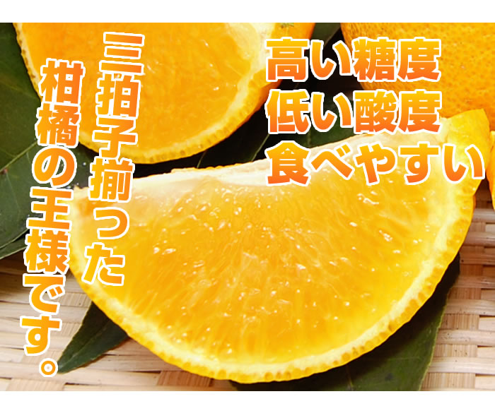 三拍子揃った柑橘の王様