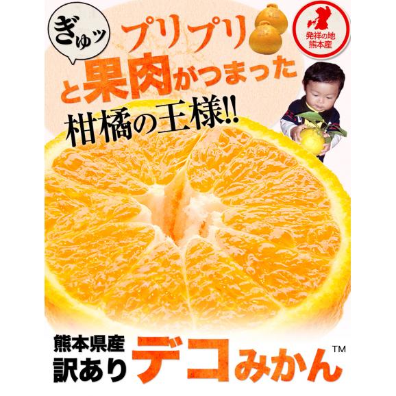 熊本県産 訳あり デコみかん 送料無料  1.5kg 不知火 みかん ミカン デコポン 同品種 熊本 柑橘  《1-5営業日以内に出荷予定（土日祝日を除く）》02