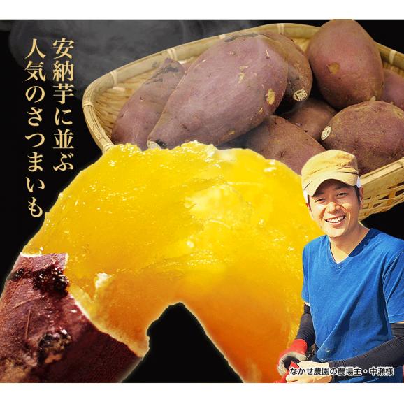 蔵出し ベニーモ 紅はるか たっぷり5kg入り 2L-Sサイズ混合 送料無料 生産者：中瀬農園 さつまいも 芋 お年賀　ご贈答用 べにはるか 3-7営業以内発送予定(土日祝除く)02