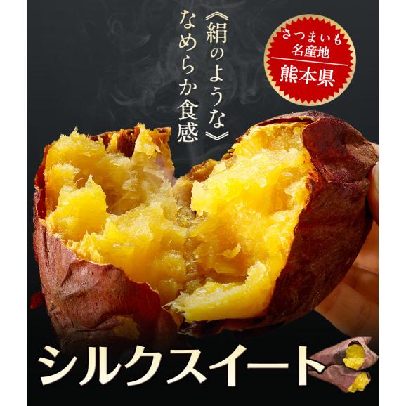 さつまいも シルクスイート 訳あり 熊本県産 送料無料 1.5kg サイズ不揃い 芋 スイーツ お取り寄せ 1-5営業日以内に出荷予定(土日祝日除く)02