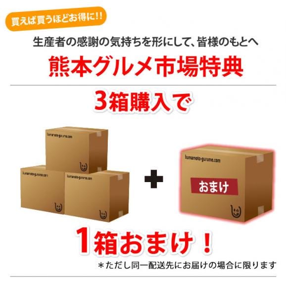 熊本県産 特選デコみかん2kg 2L 7~9玉入り(デコポンと同品種 不知火 ) 【送料無料】《3箱購入で1箱おまけ》02