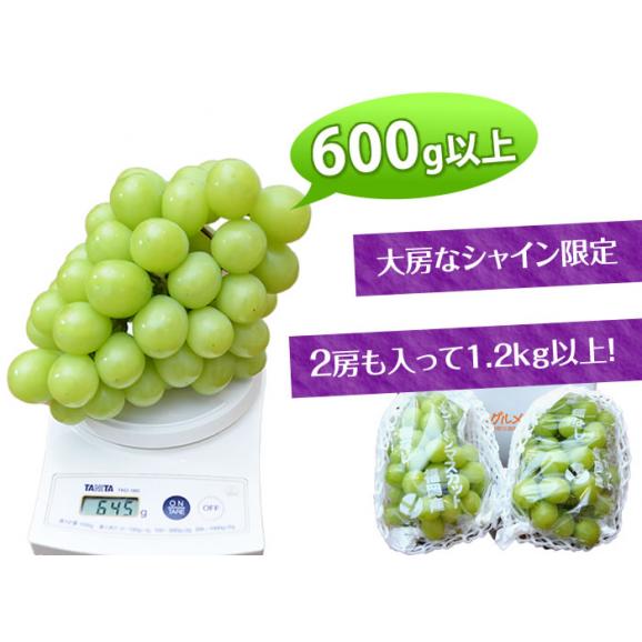 シャインマスカット 2房 計約1.2kg以上 ギフト クール便 送料無料 ぶどう ブドウ 葡萄 お取り寄せ 果物 【5～10営業日以内で出荷予定（店舗休業日除く）】02