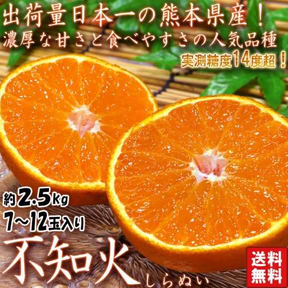 不知火 しらぬい 約2.5kg 6～12玉入り 熊本県産 個人農家産 本場で育てた抜群の甘酸っぱさ！デコポンと同一の人気品種02