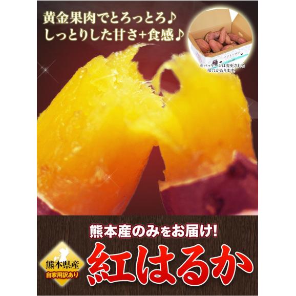 販売解禁 さつまいも 紅はるか べにはるか 1.5kg 送料無料 芋 熊本県産 スイーツ お取り寄せ 1-5営業日以内に発送(土日祝除く)02
