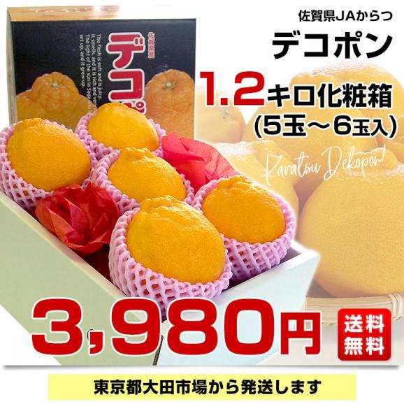 佐賀県産JAからつ デコポン 1.2キロ化粧箱（5玉から6玉入り） 送料無料 産直だより 唐津 でこぽん 柑橘 みかん オレンジ03