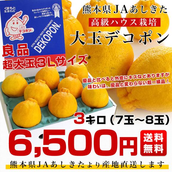 熊本県より産地直送 JAあしきた ハウス栽培 大玉デコポン （良品） 3キロ（7玉から8玉） 送料無料 でこぽん デコぽん 芦北 葦北03