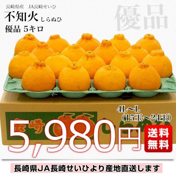 長崎県より産地直送 JA長崎せいひ 不知火 (しらぬひ) 優品 4ＬからＬサイズ 5キロ (15玉から24玉) 送料無料 柑橘 かんきつ03