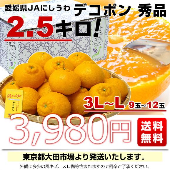 愛媛県 JAにしうわ デコポン 秀品  約2.5キロ 3LからLサイズ（9玉から12玉）でこぽん 柑橘 オレンジ 西宇和 八幡浜03