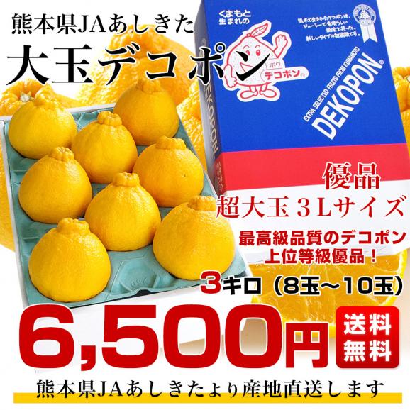 熊本県より産地直送 JAあしきた  大玉デコポン (優品)  3キロ (8玉から10玉) 送料無料 でこぽん デコぽん 芦北 葦北03