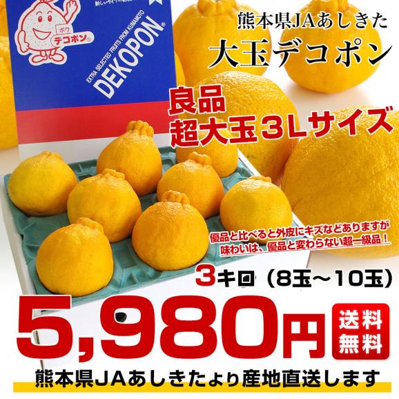 熊本県より産地直送 JAあしきた  大玉デコポン (良品)  3キロ (8玉から10玉) 送料無料 でこぽん デコぽん 芦北 葦北03