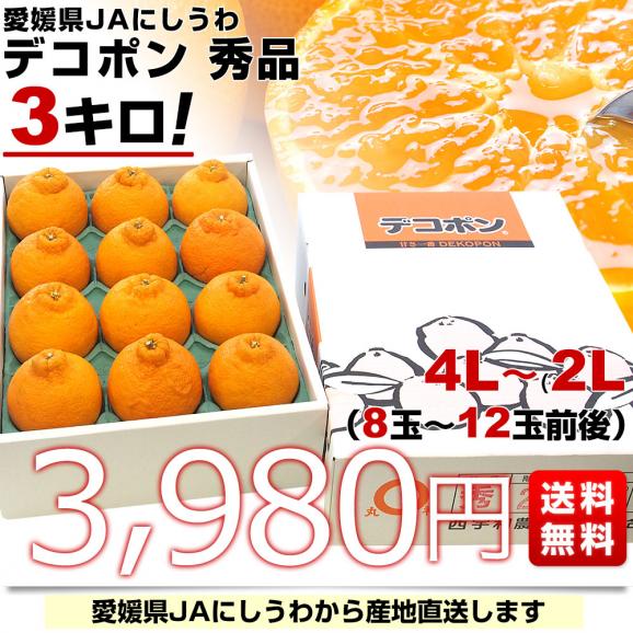 愛媛県より産地直送 JAにしうわ デコポン 秀品 4Lから2Lサイズ 3キロ（8玉から12玉前後）送料無料 でこぽん しらぬい 柑橘 オレンジ 西宇和03