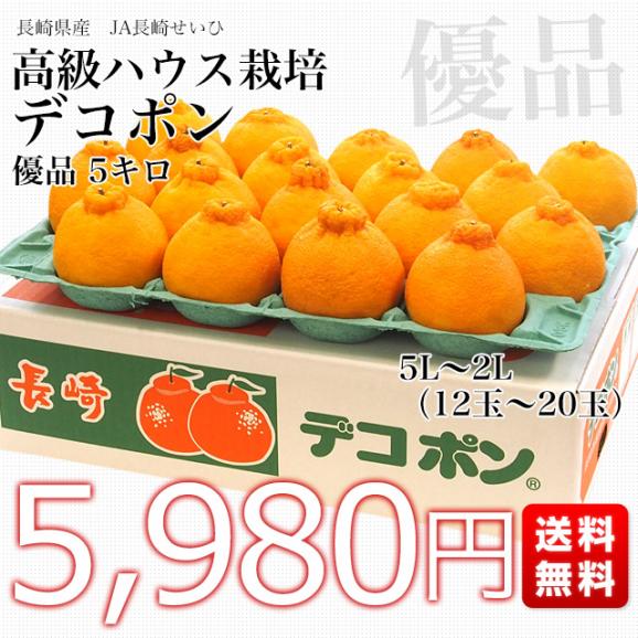 長崎県より産地直送 JA長崎せいひ ハウス栽培デコポン 優品  ５Ｌから２Ｌサイズ 5キロ (12玉から20玉) 送料無料  柑橘 かんきつ 2月発送商品03