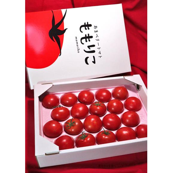 ももりこトマト S特選 約1kg 15～24玉 徳島県産 樫山農園 糖度10度以上保証のトップブランド！こだわり栽培で甘さと旨味たっぷりのフルーツトマト03