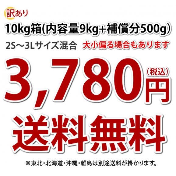 さつまいも 紅はるか 訳あり 10kg 箱込（内容量9kg＋補償分500g) 送料無料 無選別 べにはるか 熊本・宮崎県産 サツマイモ 紅蜜芋 焼き芋 芋 いも03