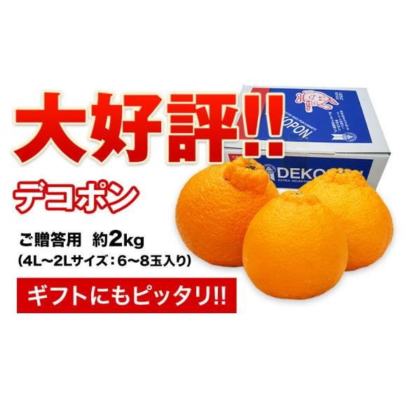 熊本県産 デコポン 優品 約1.8kg前後〜約2kg前後 送料無料 個別光センサー選果 高品質保証 贈答用 ギフト 3月中旬から4月上旬頃より発送予定03