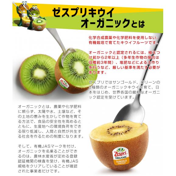ニュージーランド産 ゼスプリ・オーガニックキウイ（サンゴールド） 3キロ 送料無料 クール便 キウイフルーツ ゴールドキウイ 完熟キウイ04
