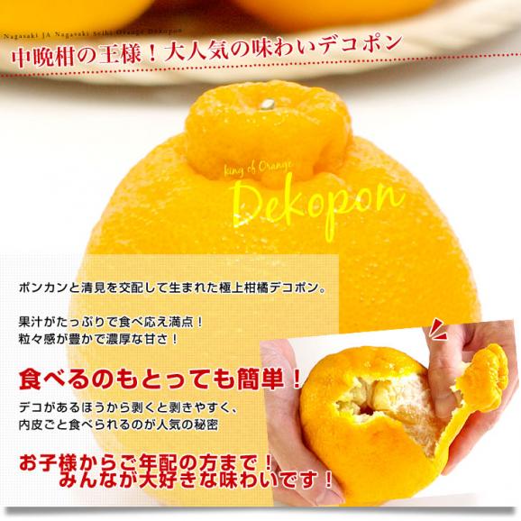 長崎県より産地直送 JA長崎せいひ ハウス栽培デコポン 優品  ５Ｌから２Ｌサイズ 5キロ (12玉から20玉) 送料無料  柑橘 かんきつ 2月発送商品04