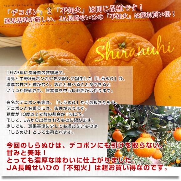 長崎県より産地直送 JA長崎せいひ 不知火 (しらぬひ) 優品 4ＬからＬサイズ 5キロ (15玉から24玉) 送料無料 柑橘 かんきつ04