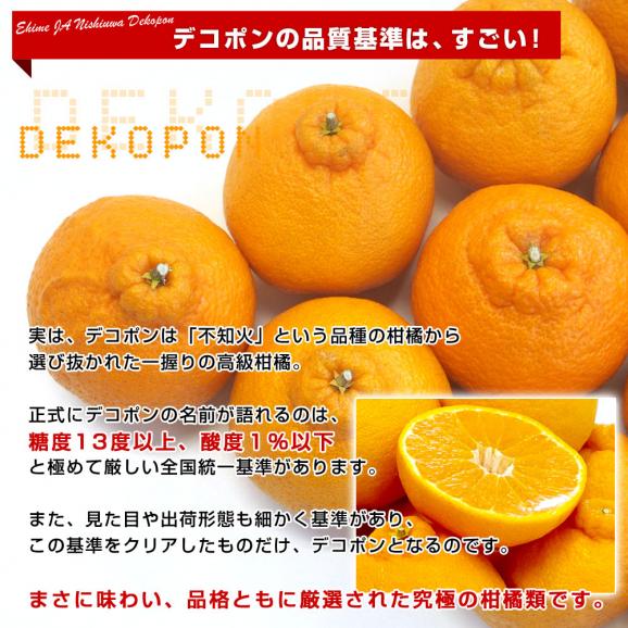 JAにしうわ デコポン 秀品 4Lから2Lサイズ 3キロ（8玉から12玉前後）でこぽん 柑橘 オレンジ 西宇和 八幡浜 市場発送04