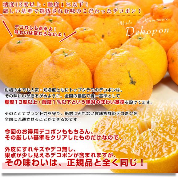 熊本県産　JA熊本果実連　本場の熊本デコポン お得用 5キロ ２LからLサイズ (20玉から24玉) 送料無料 でこぽん デコぽん JAあしきた他 市場発送04