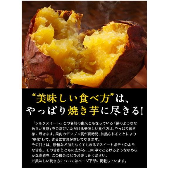 さつまいも シルクスイート 訳あり 熊本県産 送料無料 1.5kg サイズ不揃い 芋 スイーツ お取り寄せ 1-5営業日以内に出荷予定(土日祝日除く)04