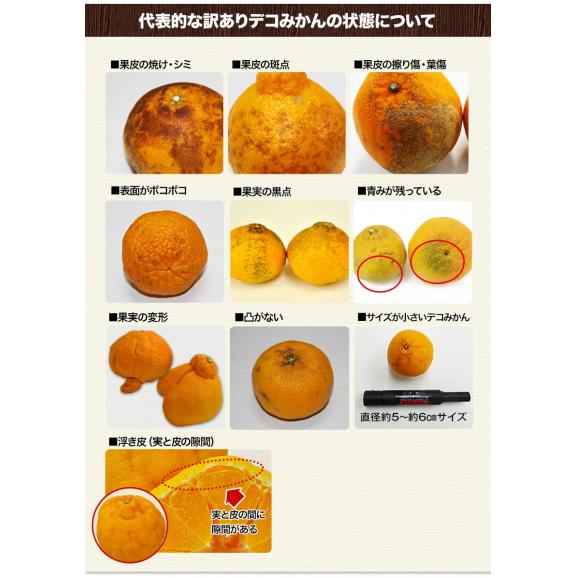 熊本県産 訳あり デコみかん 送料無料  1.5kg 不知火 みかん ミカン デコポン 同品種 熊本 柑橘  《1-5営業日以内に出荷予定（土日祝日を除く）》03