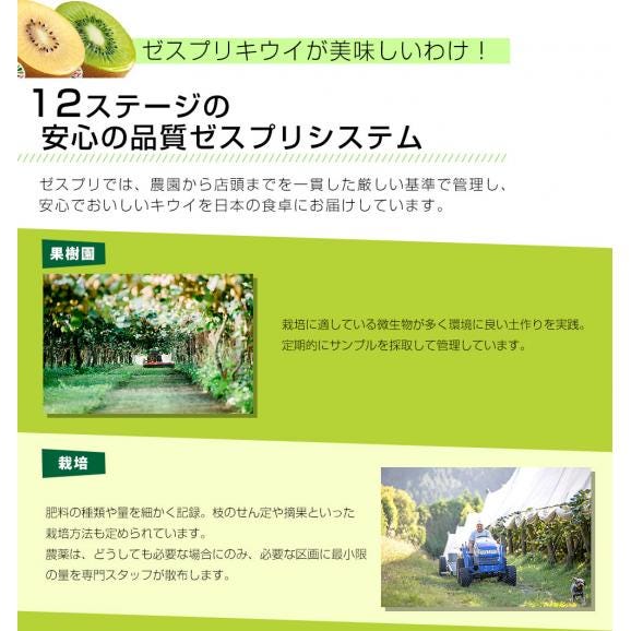 ニュージーランド産 ゼスプリ・サンゴールドキウイ 3キロ 送料無料 クール便 キウイフルーツ ゴールドキウイ 完熟キウイ05
