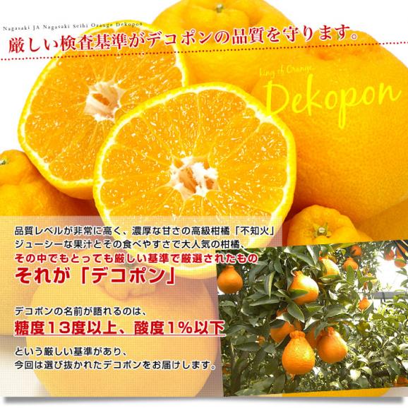 長崎県より産地直送 JA長崎せいひ ハウス栽培デコポン 優品  ５Ｌから２Ｌサイズ 5キロ (12玉から20玉) 送料無料  柑橘 かんきつ 2月発送商品05