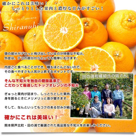 熊本県産 田の浦柑橘組合 トップオレンジ 不知火(しらぬひ) 3LからLサイズ 5キロ (18玉から24玉) 送料無料 しらぬい 柑橘 オレンジ 市場スポット05