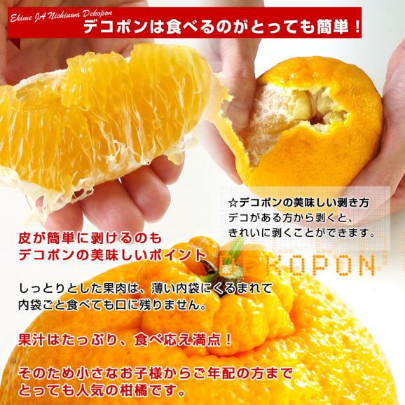 JAにしうわ デコポン 秀品 4Lから2Lサイズ 3キロ（8玉から12玉前後）でこぽん 柑橘 オレンジ 西宇和 八幡浜 市場発送05