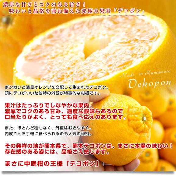 熊本県産　JA熊本果実連　本場の熊本デコポン お得用 5キロ ２LからLサイズ (20玉から24玉) 送料無料 でこぽん デコぽん JAあしきた他 市場発送05