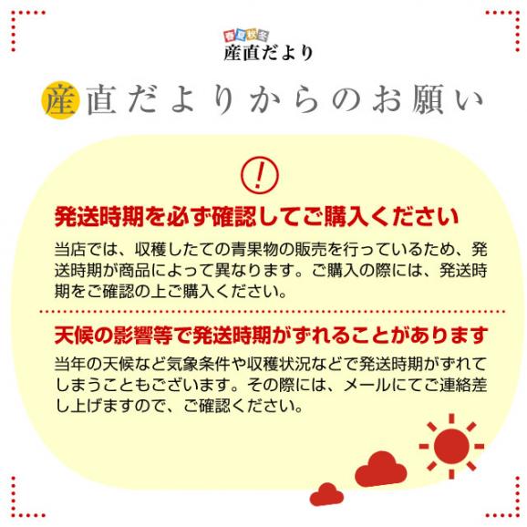  JA全農おかやま協賛 岡山県産 瀬戸ジャイアンツ 青秀2房合計1.2キロ(600g×2房）送料無料06