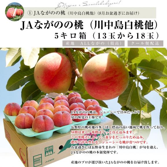 JAながの 産地直送　果実頒布会（桃・ぶどう・梨・りんご　8月から12月まで５回お届け）06