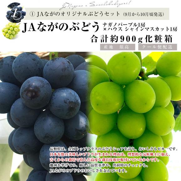 JAながの 産地直送　果物頒布会（ぶどう・梨・りんご　9月から12月まで4回お届け） 送料無料06