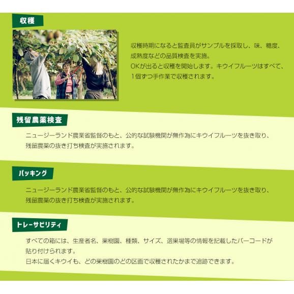 ニュージーランド産 ゼスプリ・サンゴールドキウイ 3キロ 送料無料 クール便 キウイフルーツ ゴールドキウイ 完熟キウイ06