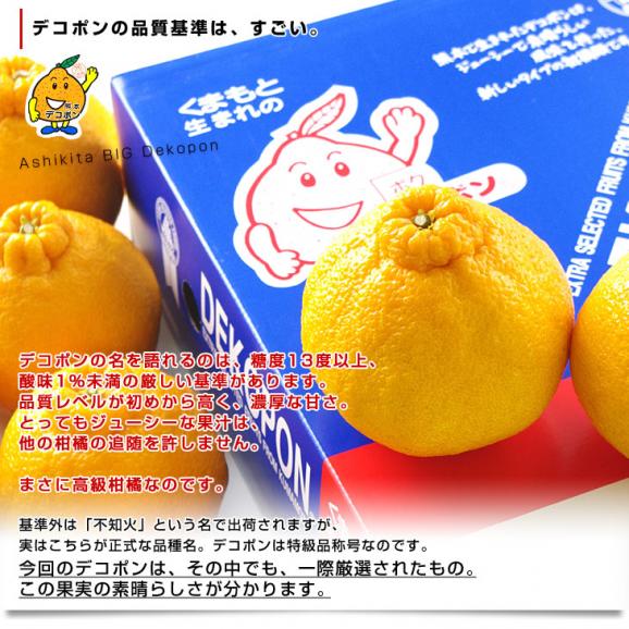 熊本県より産地直送 JAあしきた  大玉デコポン (良品)  3キロ (8玉から10玉) 送料無料 でこぽん デコぽん 芦北 葦北06