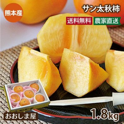 ブランド柿 熊本産 サン太秋柿 1.8kg（6-7玉） 玉揃い 送料無料 無袋 露地栽培 農家直送 熊本特産 大秋柿 たいしゅうがき ブランド柿 ＜10月下旬より出荷予定＞ フルーツ 果物  【0451607】