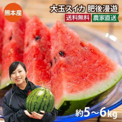 スイカ 肥後漫遊 1玉 約5kg M～Lサイズ 送料無料 ＜5月中旬より出荷予定＞ 熊本 大玉スイカ 農家直送 ギフト プレゼント フルーツ 果物 