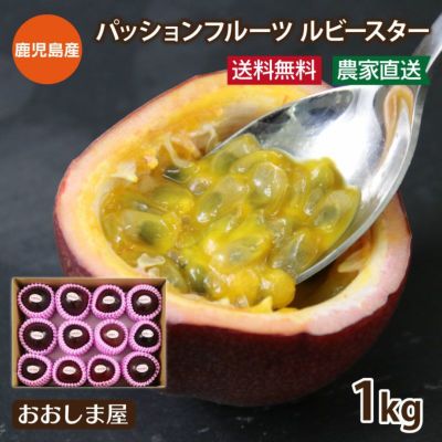 パッションフルーツ ルビースター ＜6月上旬から順次出荷＞鹿児島県 枕崎市産 (1kg 10-13個入) 送料無料 農家直送 加藤農園 果物 フルーツ