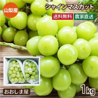 山梨産 シャインマスカット 1kg前後（約500g×2房）＜8月末より順次出荷予定＞ 送料無料・クール代別 ぶどう 葡萄 ブドウ 産地直送 丸山果樹園 