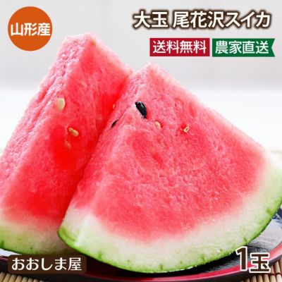 尾花沢大玉スイカ 1玉 約8kg 送料無料 ＜7月下旬から順次出荷＞ 山形県産 産地直送 フルーツ 果物  【0452556】