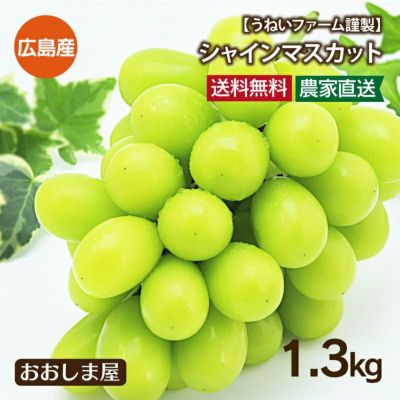 広島県産 シャインマスカット うねいファーム謹製 1.3kg(2-3房) 8月下旬より順次出荷予定 ＜送料無料・クール代別＞ ぶどう 葡萄 ブドウ 果物 フルーツ 産地直送 