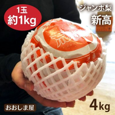 完熟 ジャンボ梨 新高 4kg(1玉約1kg 4玉)  ＜送料無料・農家直送＞ 10月上旬より順次出荷