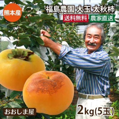 大玉 太秋柿 2kg （5玉入り） ギフト 送料無料 福島農園 農家直送 熊本産 たいしゅうがき 甘柿 甘い　果物 フルーツ 