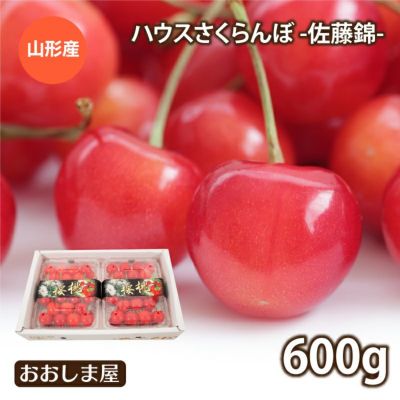 ハウスさくらんぼ 佐藤錦 600g(300g×2パック) Lサイズ 山形産 ＜5月中旬より順次出荷＞ 送料無料 クール代別 果物 フルーツ 冷蔵便 