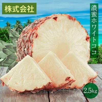 沖縄 パイナップル 島パイン ホワイトココ 2.5kg 送料無料 約2玉～3玉入り 農家直送 ＜6月中旬より順次出荷＞ マツコの知らない世界で紹介された新品種パイン フルーツ 果物 