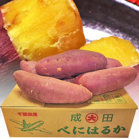 紅はるか 特大さつまいも 約10kg L～3Lサイズ 千葉県・茨城県産 お得用 家庭用限定 産地箱入り しっとり系の濃厚な甘さの紅はるか！