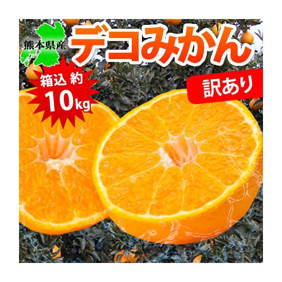 訳あり デコみかん 箱込10kg 内容量9kg+補償分500g 送料無料 3月中旬〜下旬ごろより順次出荷開始 デコポン と 同品種 ご自宅用