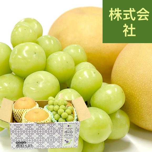 長野県 「シャインマスカット」 1房(約500g)＆栃木県 「にっこり梨」 2玉(約1キロ) セット 送料無料 ぶどう なし クール便