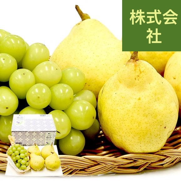豪華フルーツセット 長野県産 シャインマスカット 1房 約500g ＆新潟県産 ルレクチェ 4玉（1玉：約270g）送料無料 ギフト フルーツギフト 洋梨 ぶどう